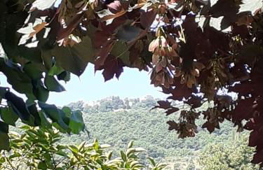 Villa Le Palmine - Foto 37