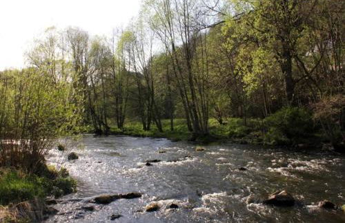 Quiet Garden Apartment - Foto 36