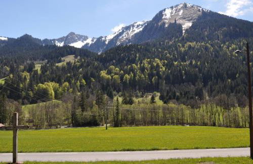 Charmant appartement 2 pièces proche ski, animaux admis, parking - FR-1-692-35 - Foto 12