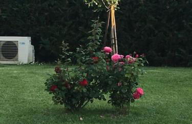 Sotto la luna Casa in campagna - Foto 28