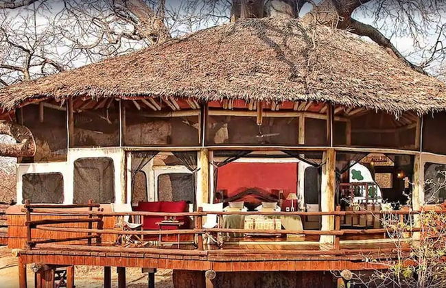 Elewana Tarangire Treetops - Foto 24