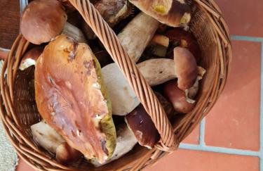 Morowo chałupa - Photo 68