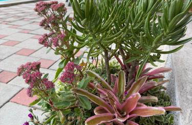 VILA LASOVIC + POOL + JACUZZI + SAUNA - Foto 37