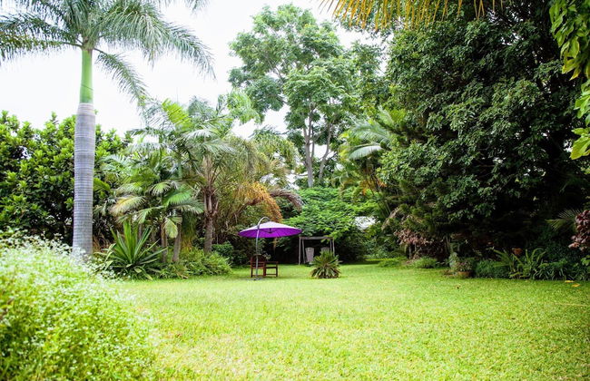 Lush Gardens Apartment 2 - Photo 21