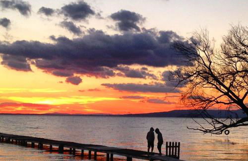 Agriturismo L'Essiccatoio - Foto 24