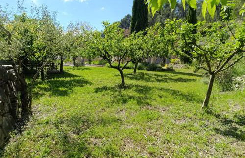 villa l oliveraie - Foto 54