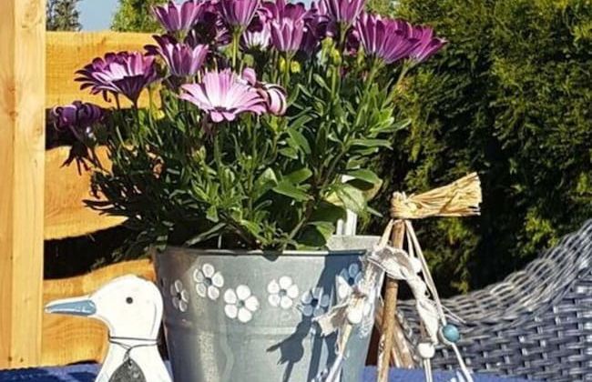 Apartment in Rieseby - Foto 32