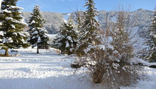 VILLARD DE LANS - Foto 3