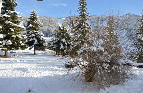 VILLARD DE LANS - Foto 3