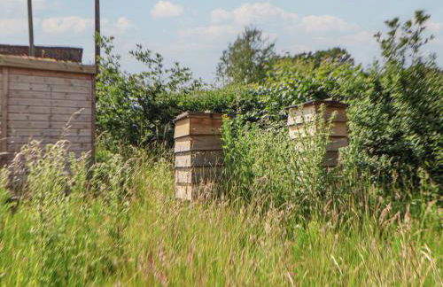 Cook's Flat - Foto 25