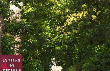 Location de La Ferme De Kerraoul - Foto 10