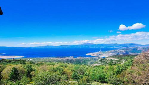 FoREST Heritage Apartment - Foto 2, Garden, Garden view