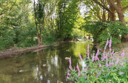 Les Studios Grenouilles - Foto 26