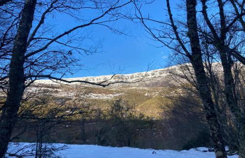 Los Chozos de la Braña - Foto 58