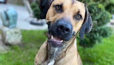 Ferienwohnung Villa Seiz - Foto 5