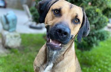 Ferienwohnung Villa Seiz - Foto 5