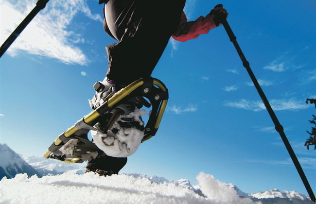 Chalet Montafon in Gaschurn With Sauna - Foto 50