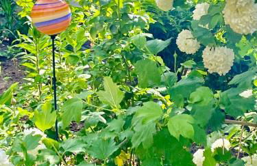 Güneitzblick - Foto 16