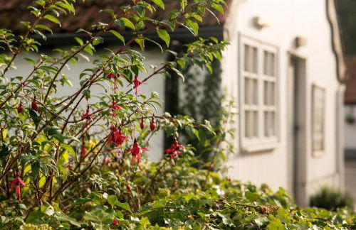 French Horn Chalets - Foto 19