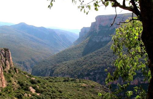 Cala Monica - Foto 25