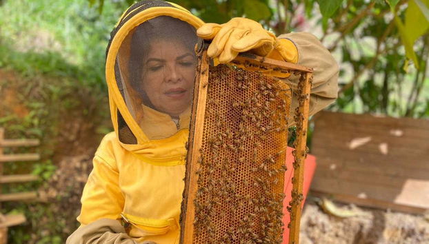 Você vai virar um apicultor por um dia!