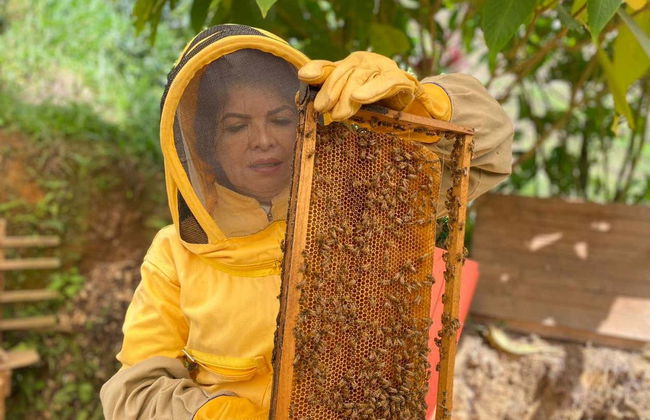 Tour do mel por Jardín - Foto 2