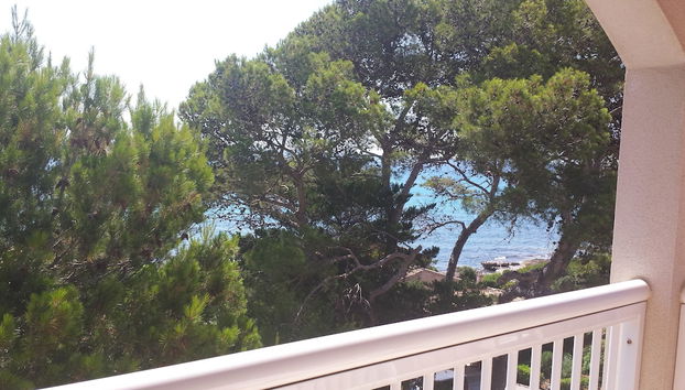 Vistas desde la habitación