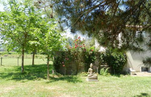 Monica di Sorbo - Foto 11