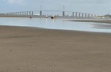 gîte L'hirondelle - Foto 41