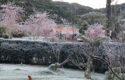 Recanto da Natureza- Chalé - Foto 36