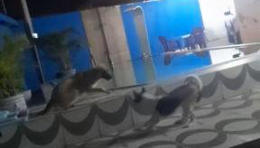 Casa aconchegante - Foto 2