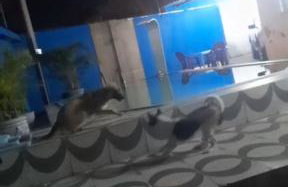 Casa aconchegante - Foto 2