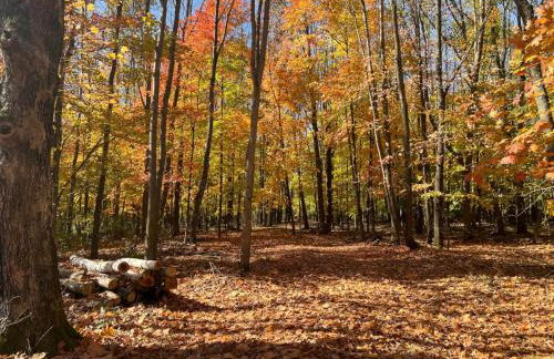 Maison Flambeau - Foto 58