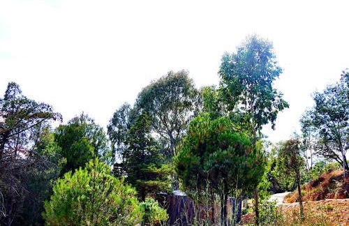 Herdade Clube Tiro Monfortinho - Foto 32