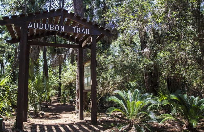 37 Davis Love - Foto 31