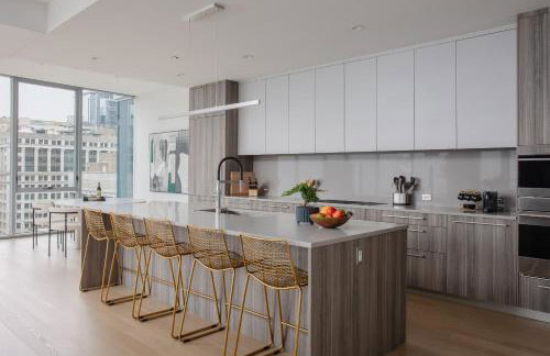 Premier Penthouses and Apartment with Captivating Views of Millennium Park - Photo 14