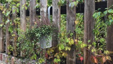 Villa Hanne mit Garten - Foto 5, Garden