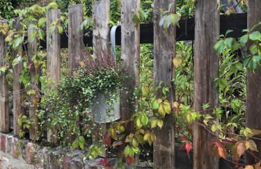 Villa Hanne mit Garten - Foto 5