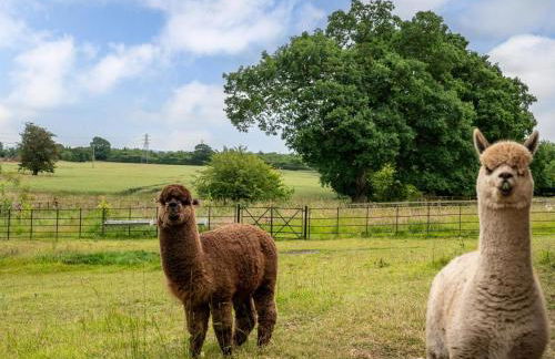 3 Bed in York oc-89538 - Photo 37