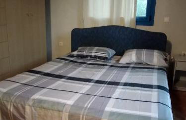 Artemis Apartment Ikaria - Foto 18