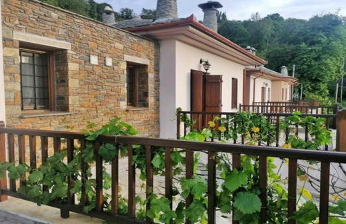 Lions Nine - Foto 17