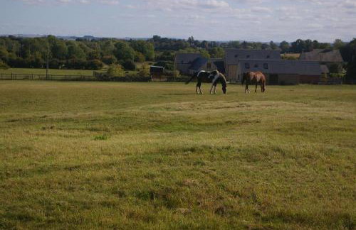 Ty Nant Cottages and Suites - Foto 5