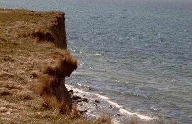 Ferienhäuschen - Foto 10