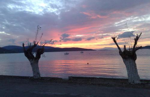 Gikas Apartments Triple Studio Sea View B6 - Foto 19