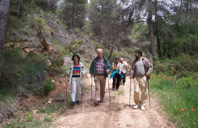 Rural Horizons - Foto 19