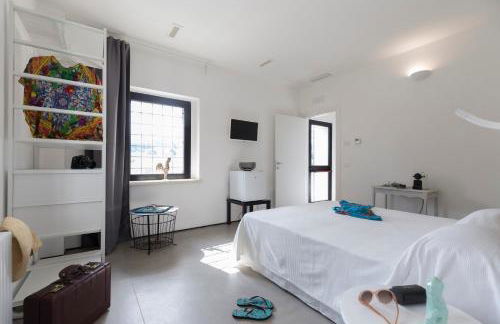 Gallo Fino - Foto 43