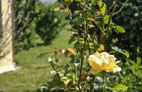 Case di Stratola - Foto 86