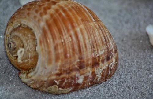 Apartment Nadoveza - Foto 55