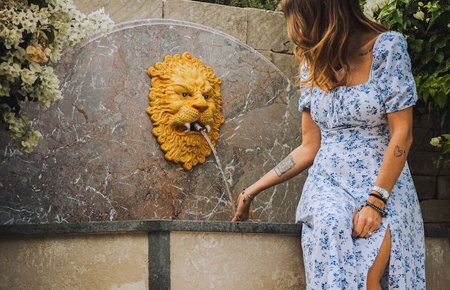 Tenuta Olive Alive - Foto 74