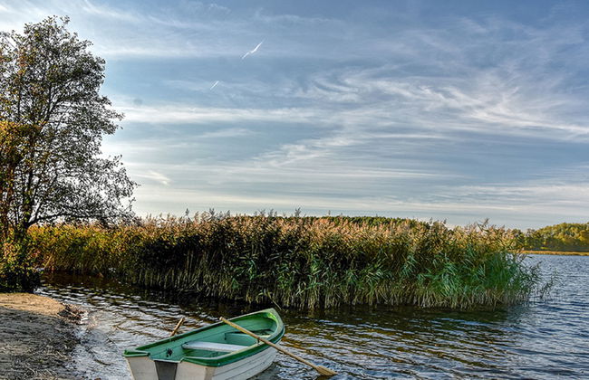 Skarlinówka - Foto 31